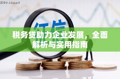 泰来税务贷助力企业发展，全面解析与实用指南