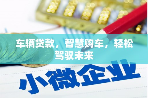 泰来车辆贷款，智慧购车，轻松驾驭未来