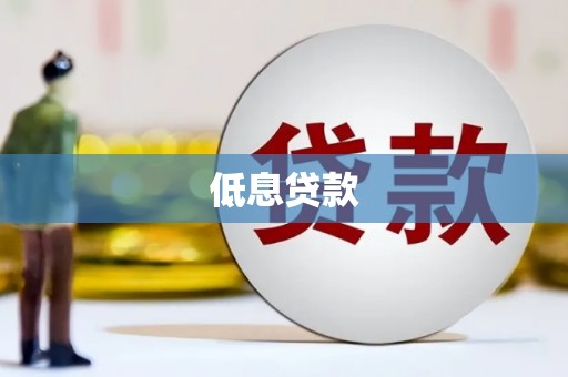 泰来低息贷款