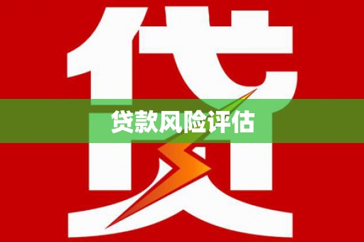 泰来贷款风险评估