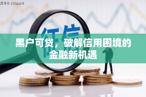 泰来黑户可贷，破解信用困境的金融新机遇