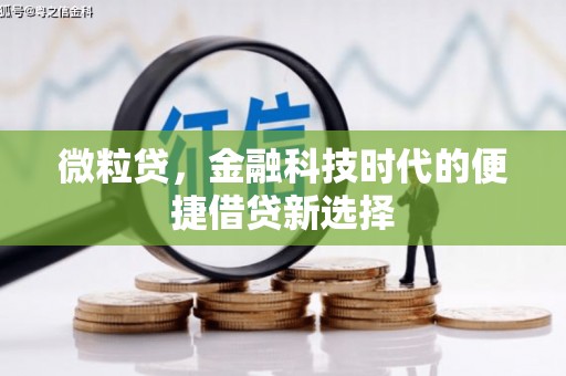 泰来微粒贷，金融科技时代的便捷借贷新选择