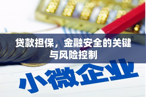 泰来贷款担保，金融安全的关键与风险控制