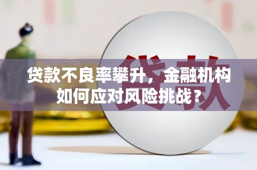 泰来贷款不良率攀升，金融机构如何应对风险挑战？