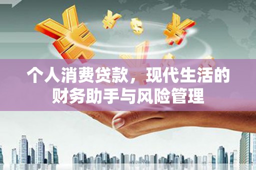 泰来个人消费贷款，现代生活的财务助手与风险管理