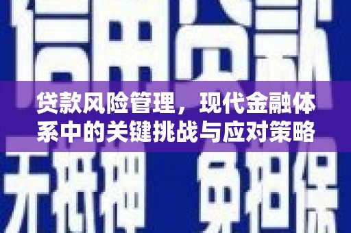 泰来贷款风险管理，现代金融体系中的关键挑战与应对策略