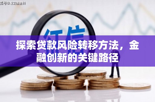 泰来探索贷款风险转移方法，金融创新的关键路径