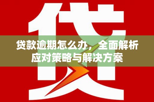 泰来贷款逾期怎么办，全面解析应对策略与解决方案