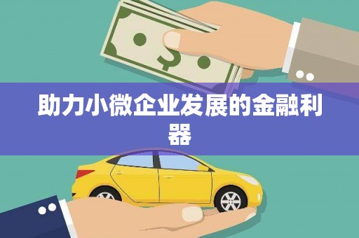 泰来助力小微企业发展的金融利器