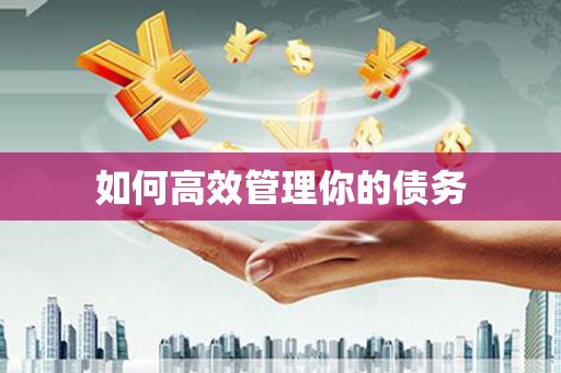 泰来如何高效管理你的债务