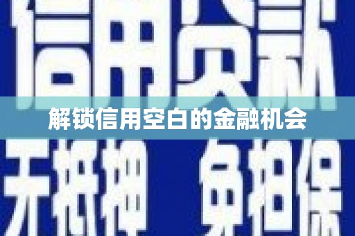 泰来解锁信用空白的金融机会