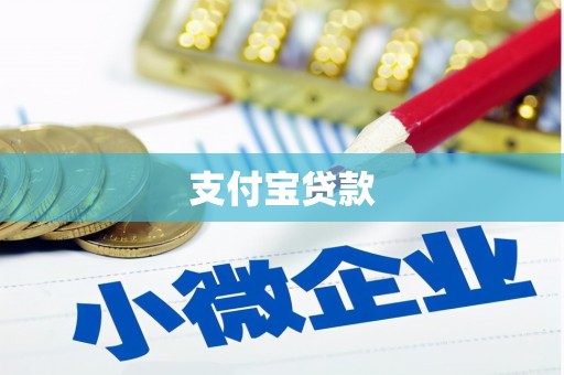 泰来支付宝贷款