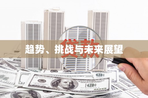 泰来趋势、挑战与未来展望