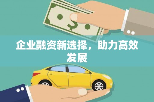 泰来企业融资新选择，助力高效发展