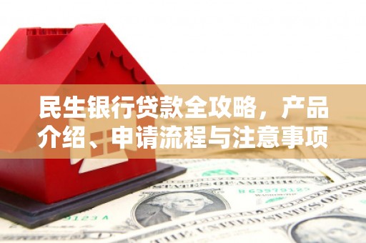 泰来民生银行贷款全攻略，产品介绍、申请流程与注意事项